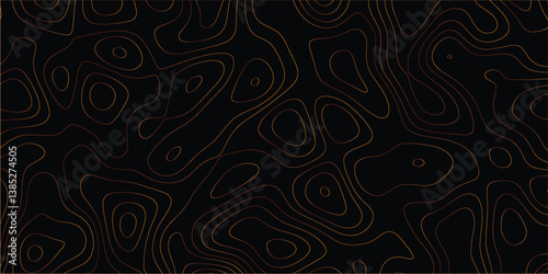 Decorative elevation pattern inspired by terrain maps and line art

