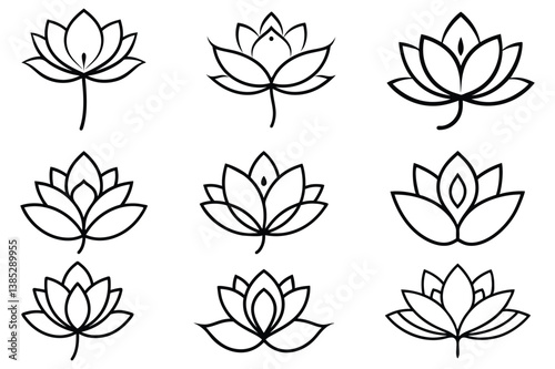 line drawing blooming lotus flower