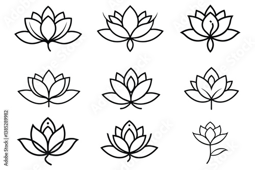 line drawing blooming lotus flower