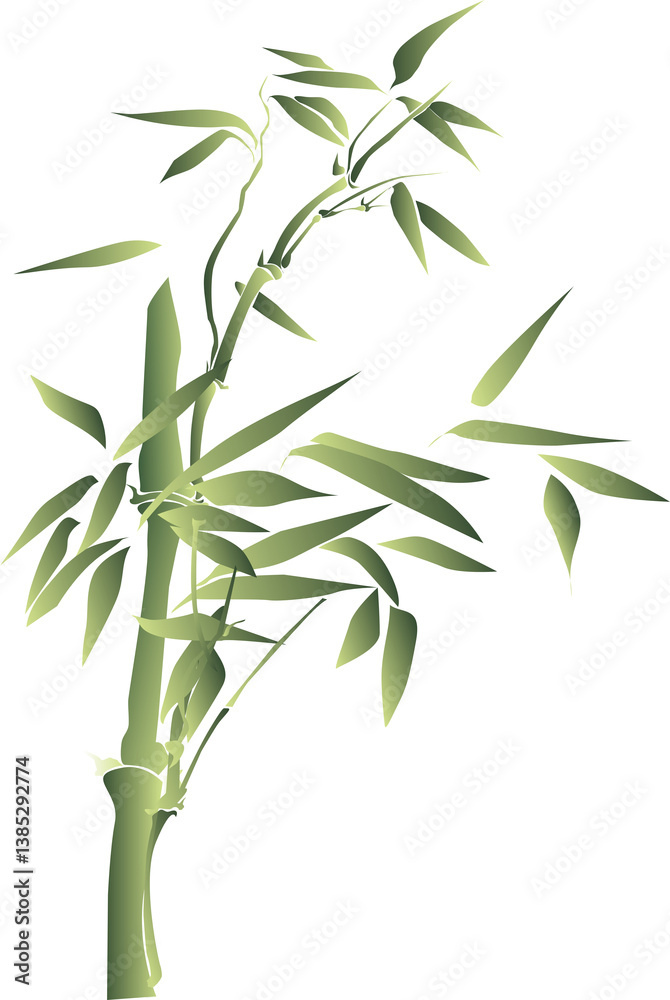Fototapeta premium bamboo isolated on white