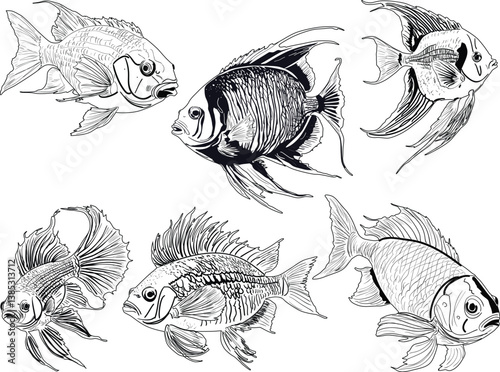group of six white fish sketches isolated on white