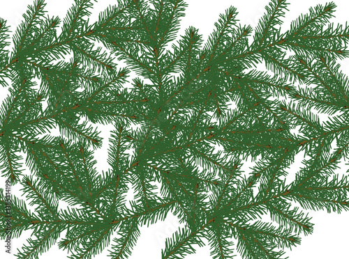 green fir branches background illustration