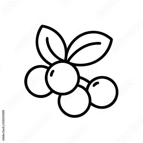 cranberry flat vector