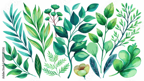 Watercolor floral illustration set - green leaf branches collection, for wedding stationary, greetings, wallpapers, fashion, background. Eucalyptus, olive, green leaves, etc.