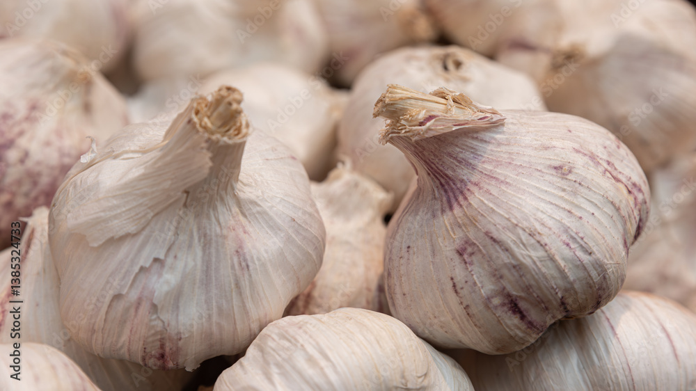 Obraz premium Garlic textures, heads in detail