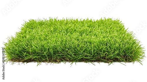 Green Artificial Turf Patch Isolated on White Background for Outdoor Decorations.