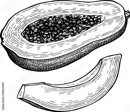 Halved papaya and slice ink sketch