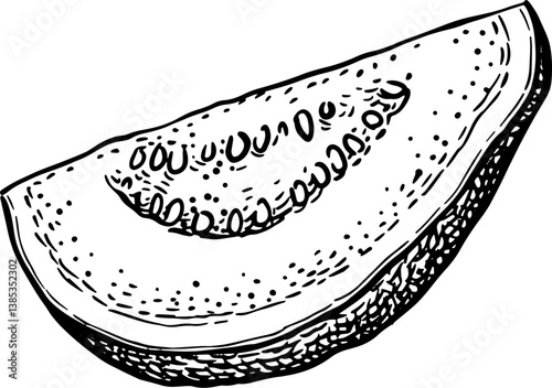 Sliced guava ink sketch.