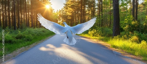 White Dove Soaring Forest Road Sunrise