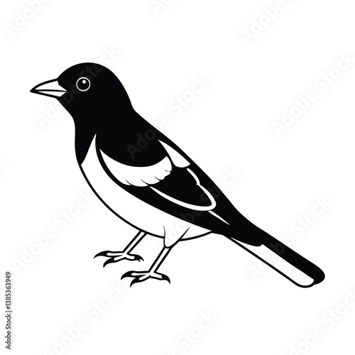 Baltimore oriole