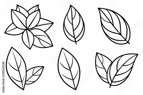 Dogwood Leaf Line Art Creative Drawing for Nature Artwork