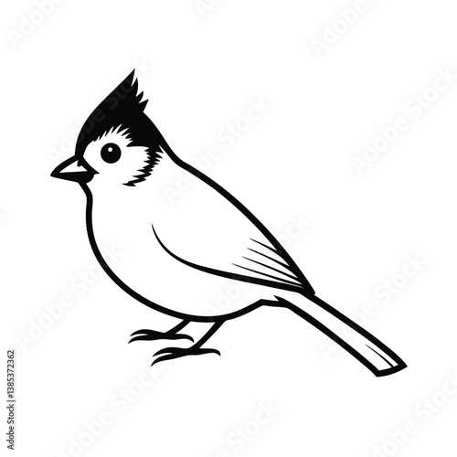 vector illustration of a tufted titmouse