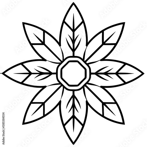 Bird feather pattern mandala line art vector illustration 