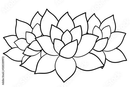 Echeveria Leaf Line Art Illustration Beautiful Sketch for Digital Design 