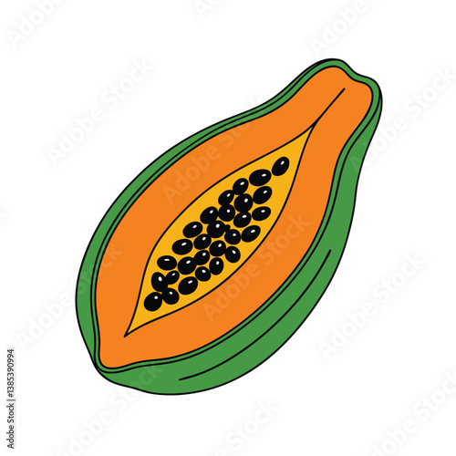 Papaya fruit vector on white background, Food vector illustration