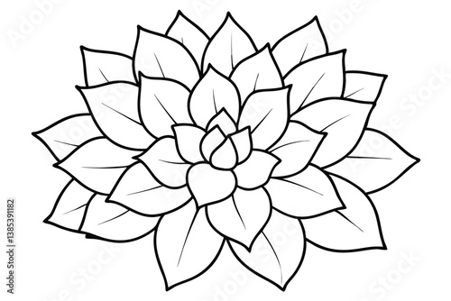 Echeveria Leaf Line Art Illustration Creative Botanical Design for Artwork 