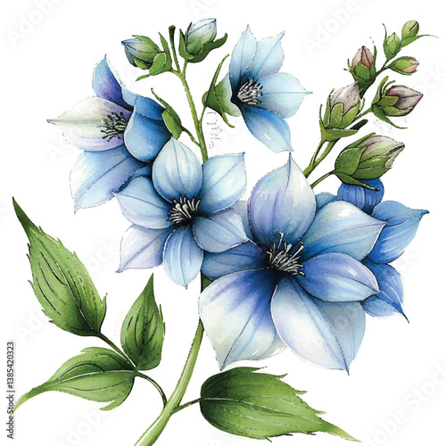 Watercolor Delphinium white background