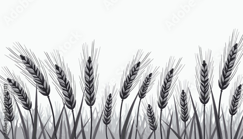 Abstract black and white illustration of wheat stalks in a field, showcasing agricultural beauty