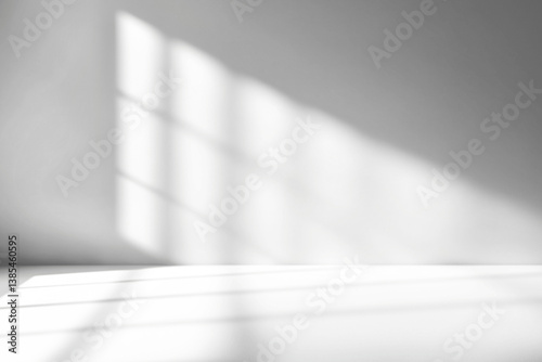 shadow overlay effects of realistic window and tree branch shadow with light blur on transparent background,Summer sunlight and shadow overlay effect