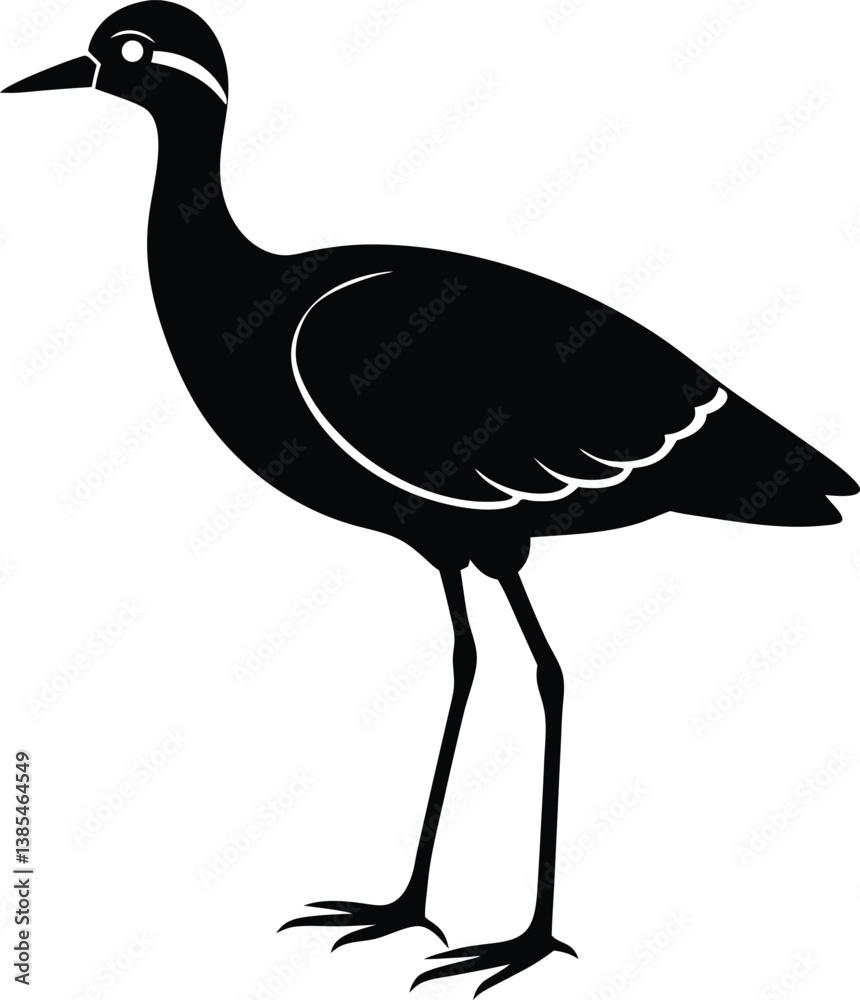 Fototapeta premium African-jacana vector art illustration.