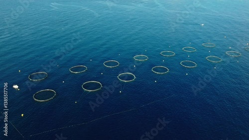 Drone view of tuna fish farm, tuna rings in Mediterranean sea