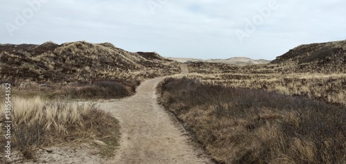 Düne, Sylt