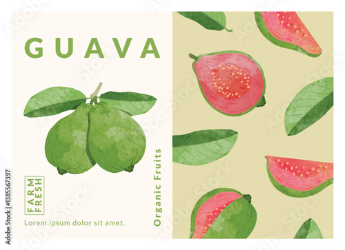 guava packaging design templates, watercolour style vector illustration.