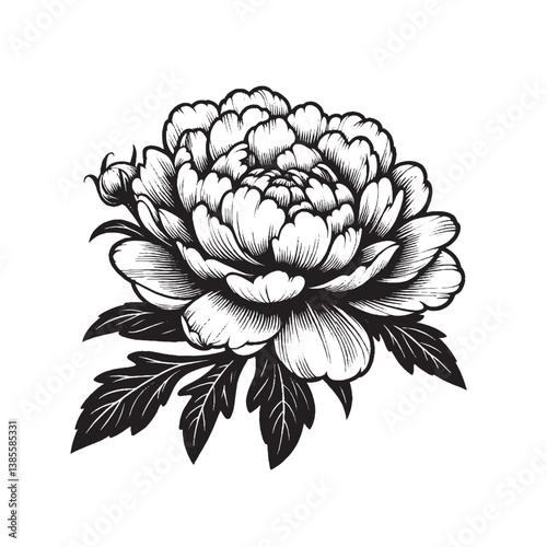 Vibrant Peony Blossom