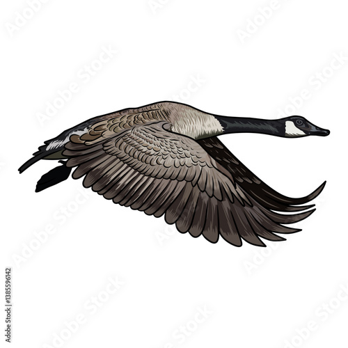 canadian goose duck hunting illustration logo vector image t shirt