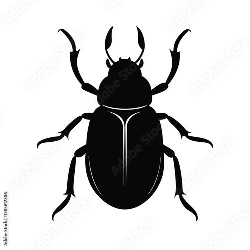 black beetle isolated on white background