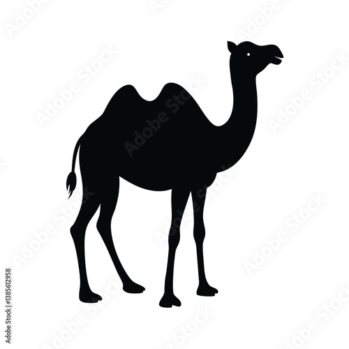 camel isolated on white