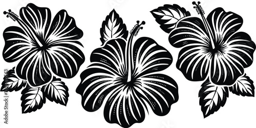 Black vector Hibiscus Flowers, no white outlines, easy to change color or paste to any background. Vector path can also be used for contour cut stickers or for t-Shirt flock prints.