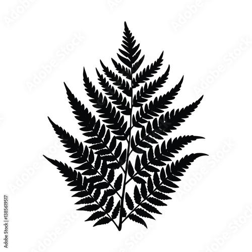 fern leaves isolated on white