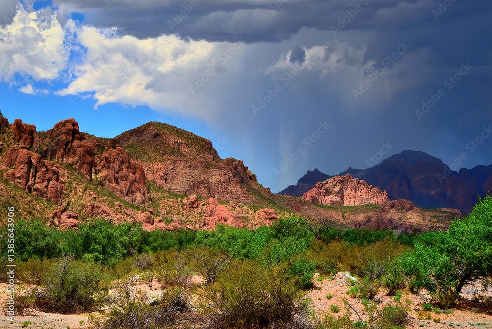 Fototapeta premium Generative AI Salt River Recreation Area Arizona