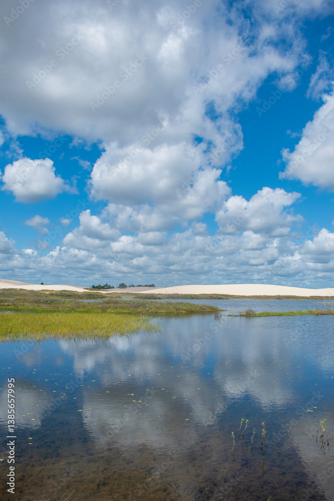 Barreirinhas, Maranhao State National Park, Brazil: view of Lencois Maranhenses, white and rolling sand dunes with natural pools of fresh water, desert landscape, green and reflections