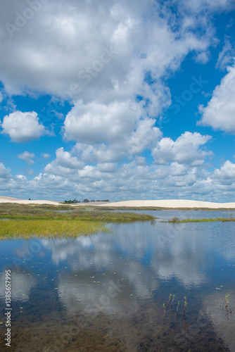 Obraz na płótnie Barreirinhas, Maranhao State National Park, Brazil: view of Lencois Maranhenses, white and rolling sand dunes with natural pools of fresh water, desert landscape, green and reflections w salonie
