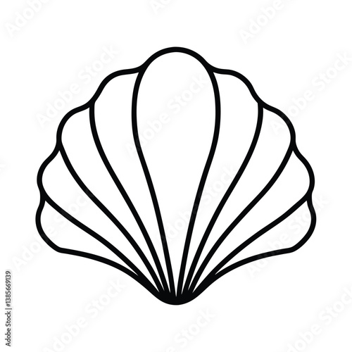 seashell vector illustration