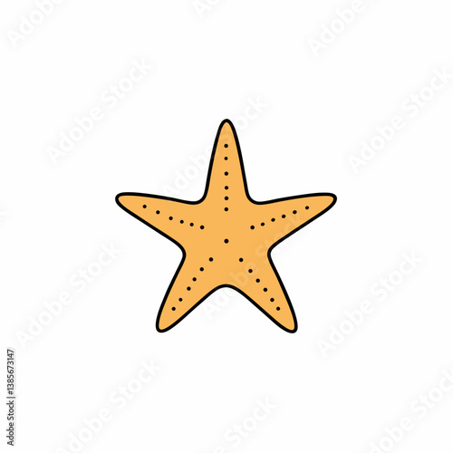 starfish isolated on white background