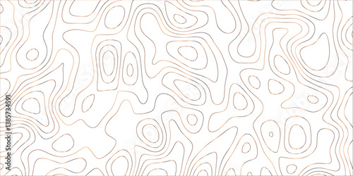 Looking Beyond the Surface: Deeper Meanings in Topographic Design
