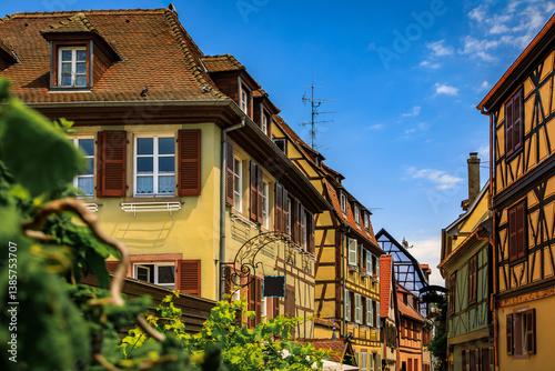 Ornate traditional half timbered houses with blooming flowers along the canals, Little Venice district in Colmar, picturesque village in Alsace France