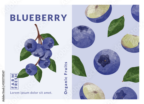 Blueberry packaging design templates, watercolour style vector illustration.