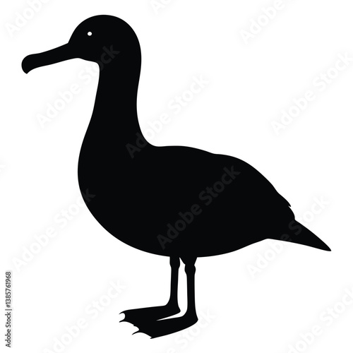 Albatross set silhouette vector illustration, Albatross vector design, albatross line art silhouette vector illustration, albatross silhouette line art vector illustration, albatross silhouette vector