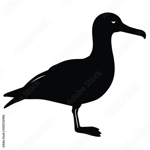 Albatross set silhouette vector illustration, Albatross vector design, albatross line art silhouette vector illustration, albatross silhouette line art vector illustration, albatross silhouette vector