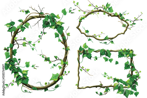 Green climbing ivy creeper branches isolated on white background. Hedera vine frames and borders, botanical design element. Vector illustration of hanging or wall creeping ivy plants.