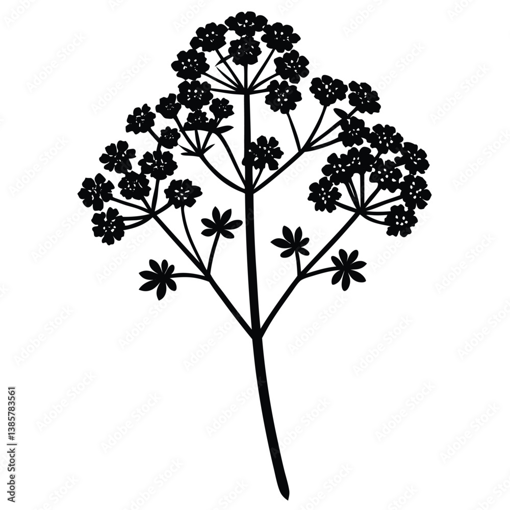 Fototapeta premium A yarrow flower icon with tiny blossoms forming.