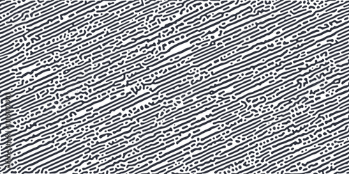Abstract rays  lines on white background. Chaotic lines texture. Pattern with labirint sun.