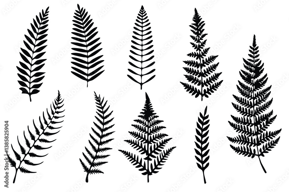 Fern Frond Line Art Creative Artistic Drawing for Artwork Design Fern Frond Line Art Creative Artistic Drawing for Artwork Design