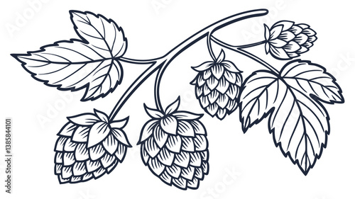 Hand-Drawn Hops Vector Art Set – Doodle Hop Cones & Leaves Clipart for Beer & Brewing Designs

