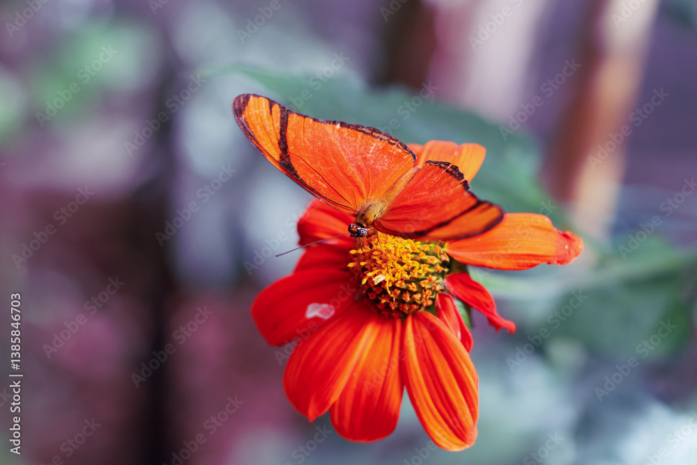 Vibrant Orange Butterfly on Flower in Medellin Botanical Garden, Antioquia, Colombia, Medellín. Captivating moment of nature's beauty in a serene garden setting