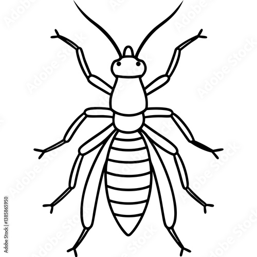 Termite Outline Vector Illustration